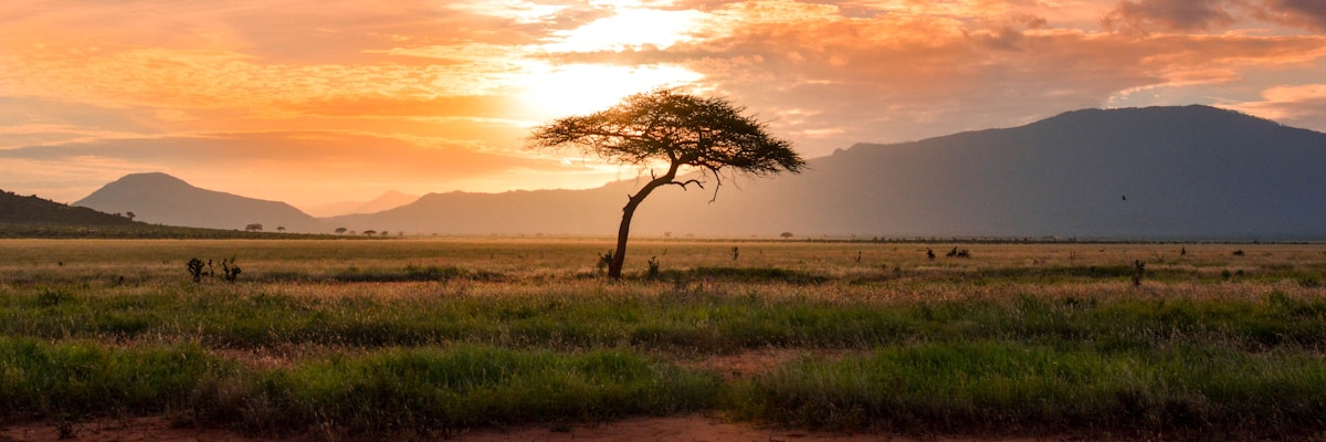Africa